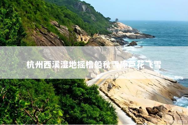 杭州西溪湿地摇橹船秋雪庵芦花飞雪
