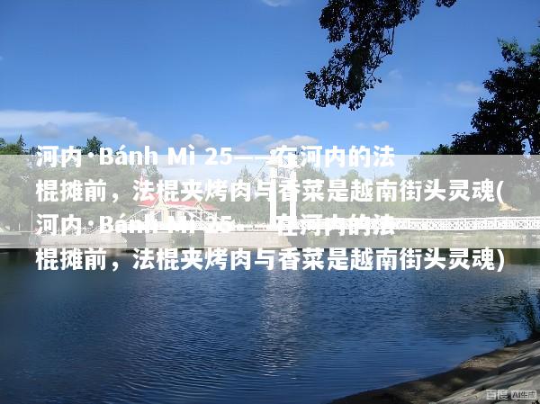 河内·Bánh Mì 25——在河内的法棍摊前，法棍夹烤肉与香菜是越南街头灵魂(河内·Bánh Mì 25——在河内的法棍摊前，法棍夹烤肉与香菜是越南街头灵魂)