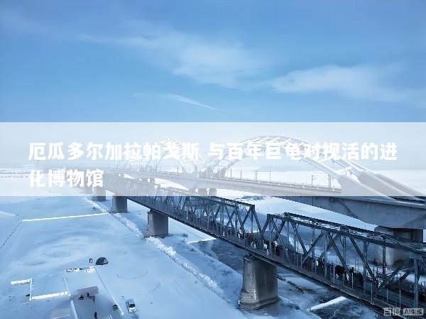 厄瓜多尔加拉帕戈斯 与百年巨龟对视活的进化博物馆
