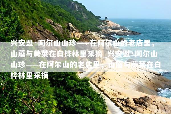 兴安盟·阿尔山山珍——在阿尔山的老店里，山蘑与蕨菜在白桦林里采摘_兴安盟·阿尔山山珍——在阿尔山的老店里，山蘑与蕨菜在白桦林里采摘