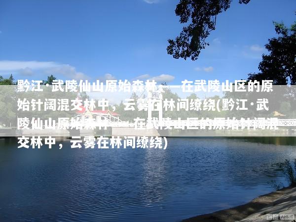黔江·武陵仙山原始森林——在武陵山区的原始针阔混交林中，云雾在林间缭绕(黔江·武陵仙山原始森林——在武陵山区的原始针阔混交林中，云雾在林间缭绕)