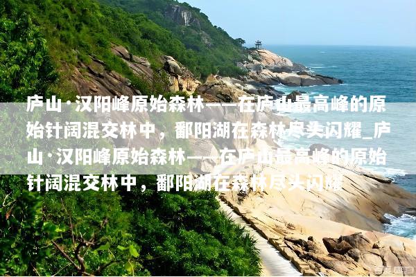 庐山·汉阳峰原始森林——在庐山最高峰的原始针阔混交林中，鄱阳湖在森林尽头闪耀_庐山·汉阳峰原始森林——在庐山最高峰的原始针阔混交林中，鄱阳湖在森林尽头闪耀