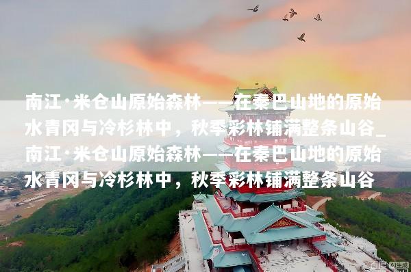 南江·米仓山原始森林——在秦巴山地的原始水青冈与冷杉林中，秋季彩林铺满整条山谷_南江·米仓山原始森林——在秦巴山地的原始水青冈与冷杉林中，秋季彩林铺满整条山谷