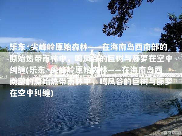 乐东·尖峰岭原始森林——在海南岛西南部的原始热带雨林中，鸣凤谷的巨树与藤萝在空中纠缠(乐东·尖峰岭原始森林——在海南岛西南部的原始热带雨林中，鸣凤谷的巨树与藤萝在空中纠缠)